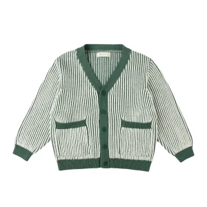 Cardigan tricot laine | Haywood - Green stripe