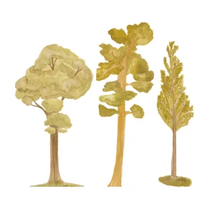 Autocollant mural réutilisable - Arbres